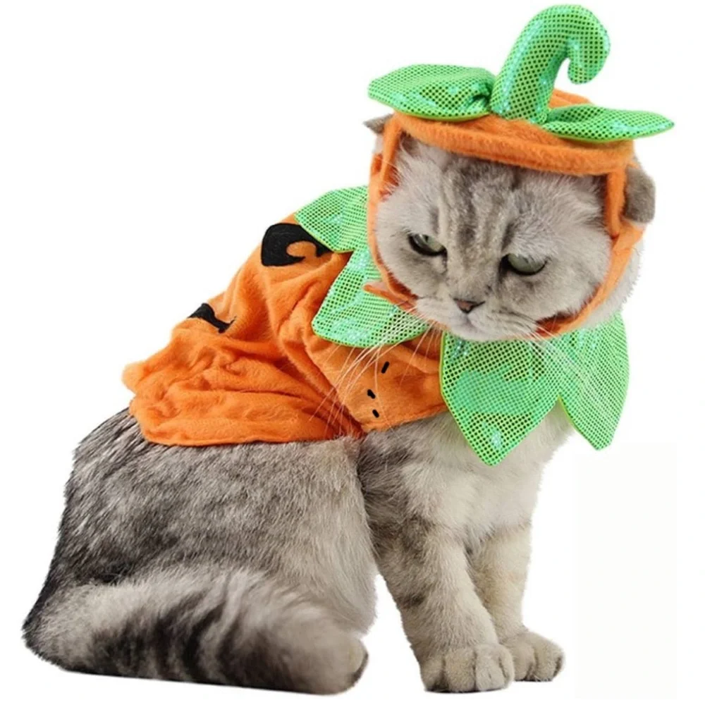 Pet Pumpkin Costume for Cats & Small Dogs - Halloween Party